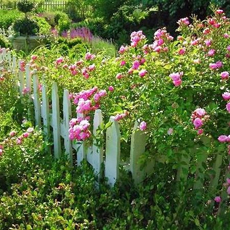 Kirkwood Inn مايسن المظهر الخارجي الصورة
